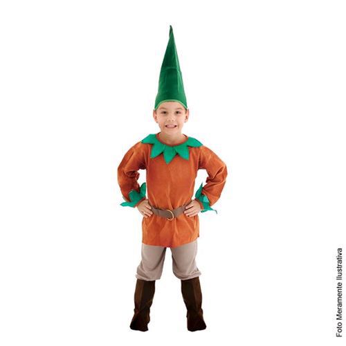 Fantasia Gnomo Infantil Luxo