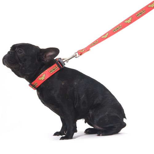 Coleira para Cachorros Mulher Maravilha