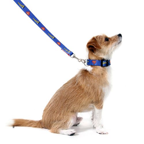 Coleira para Cachorros Superman