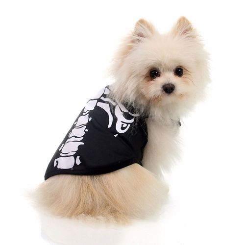 Fantasia para Cachorros Esqueleto