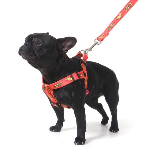 Peitoral para Cachorros Mulher Maravilha