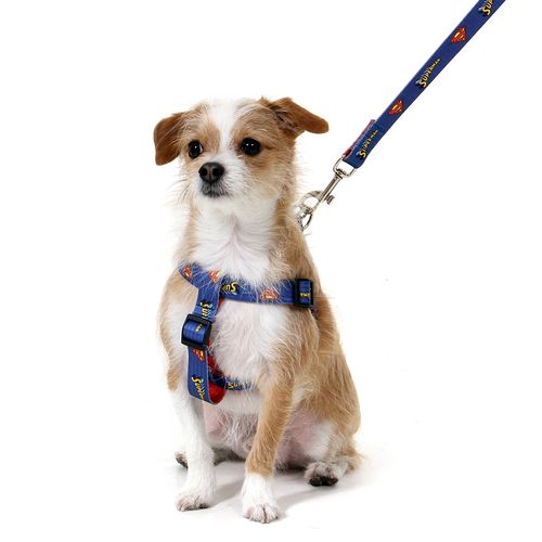 Peitoral para Cachorros Superman