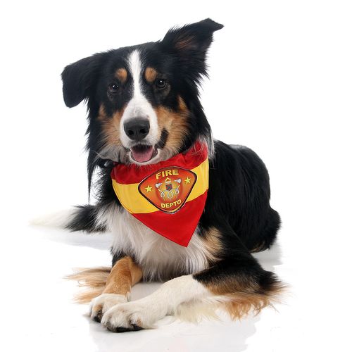 Bandana para Cachorros Bombeiro