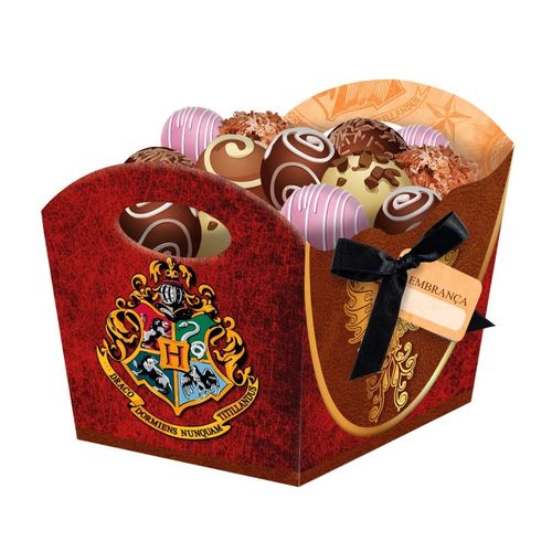 Cachepot Médio 8 Unidades - Harry Potter - Festcolor