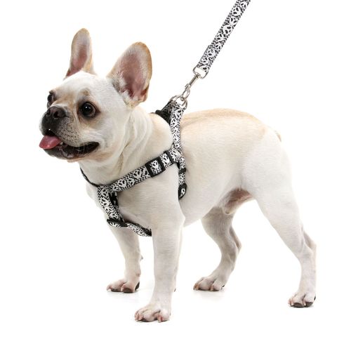 Peitoral para Cachorros Panda