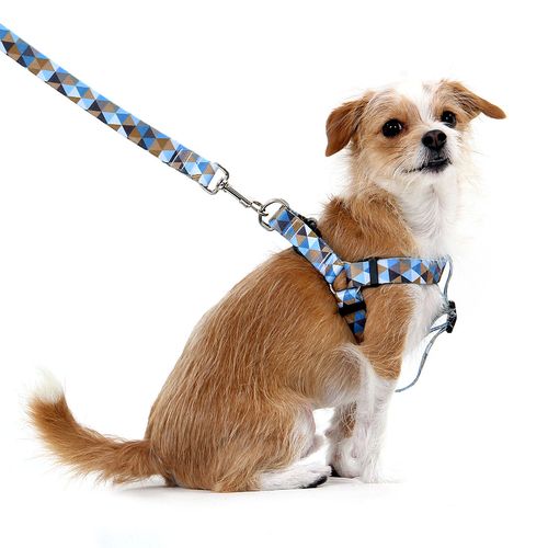 Peitoral para Cachorros Triângulo Azul