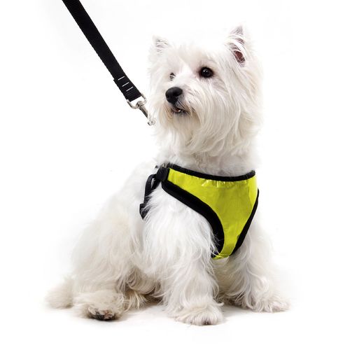 Peitoral com Guia para Cachorros Air Mesh Refletivo - Amarelo