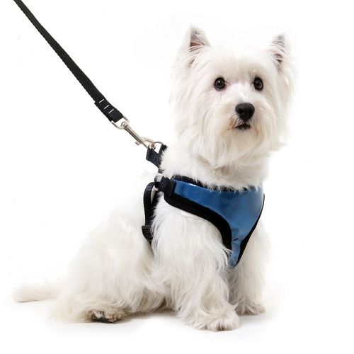 Peitoral com Guia para Cachorros Air Mesh Refletivo - Azul