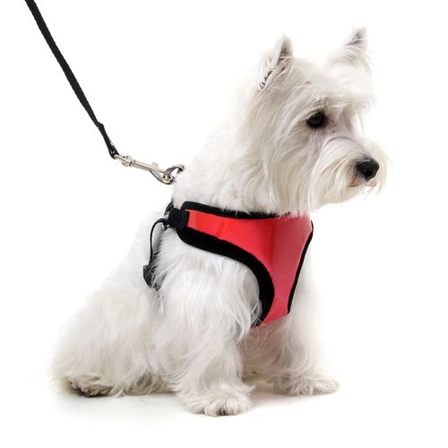 Peitoral com Guia para Cachorros Air Mesh Refletivo - Rosa