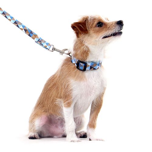 Coleira para Cachorros Triângulo Azul