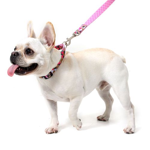 Coleira para Cachorros Triângulo - Rosa