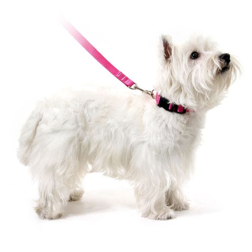 Coleira para Cachorros Rosa