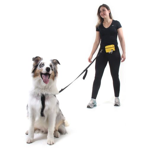 Pochete com Guia para Cachorros - Amarelo