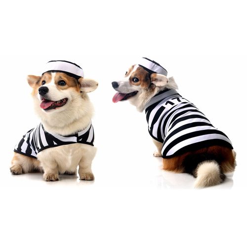 Fantasia para Cachorros Presidiário