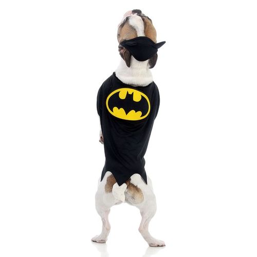 Capa Batman p/ Cachorro - Liga da Justiça