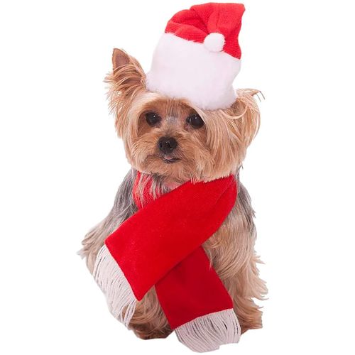 Fantasia de Natal Pet Gorro e Cachecol Papai Noel