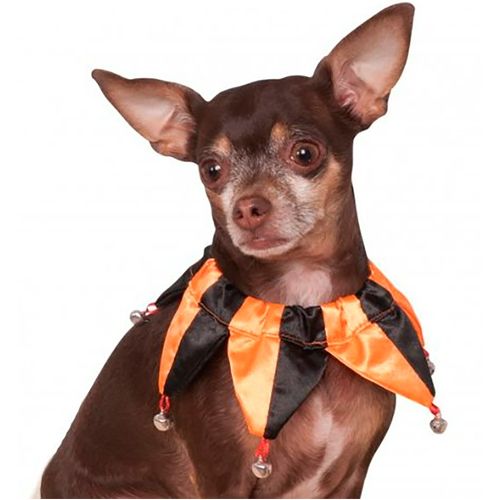 Colar Palhaço Halloween Para Cachorros