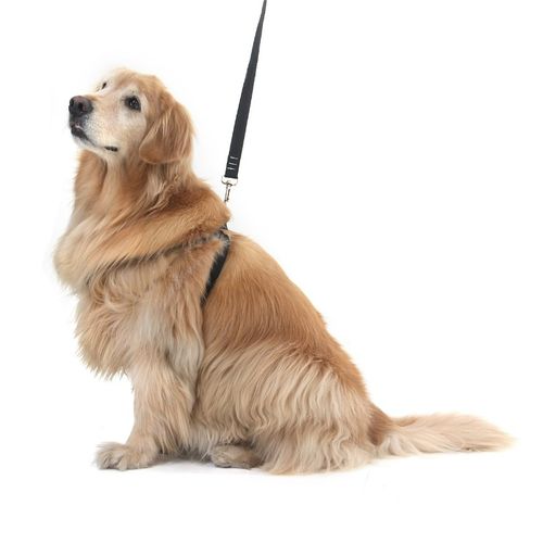 Peitoral para Cachorros Antipuxão - Preto