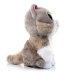 92854-pelucia-beanie-boos-colecionavel-gato-asher-16-cm-toyng_003