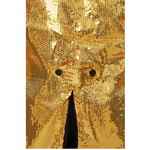 92459_Domador_leao_Dourado_5.png