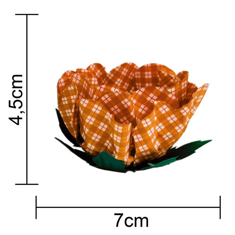 204191 - 02.png